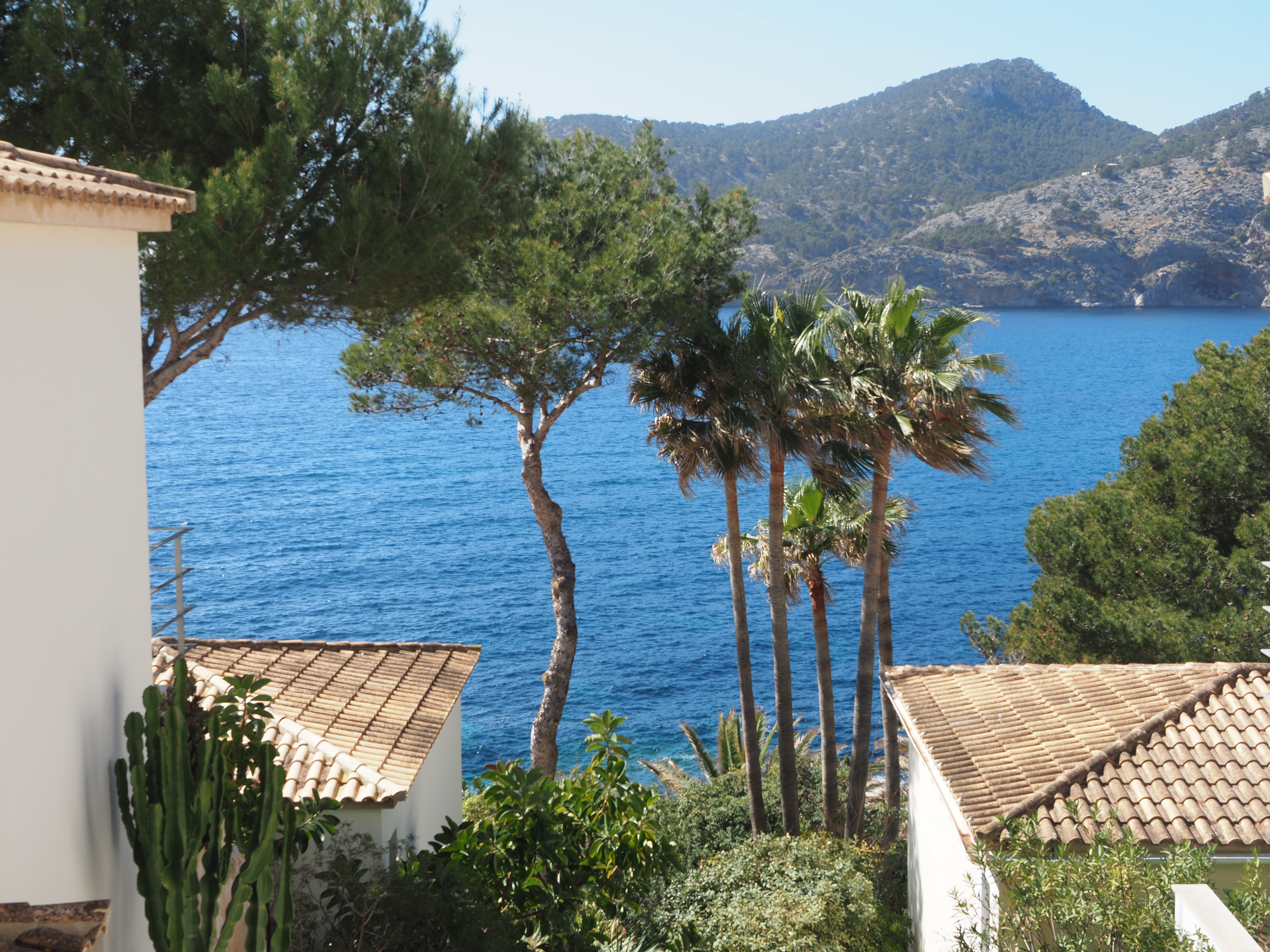 Rent: Frontline villa in Camp de Mar Majorca with stunning sea views and direct sea access